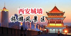 操逼视频啊啊啊鸡巴中国陕西-西安城墙旅游风景区